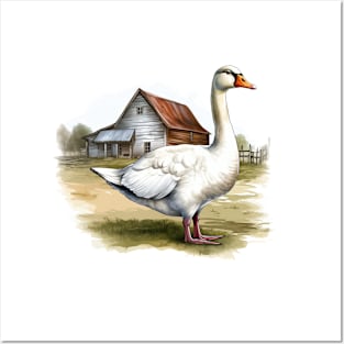 White Goose Posters and Art